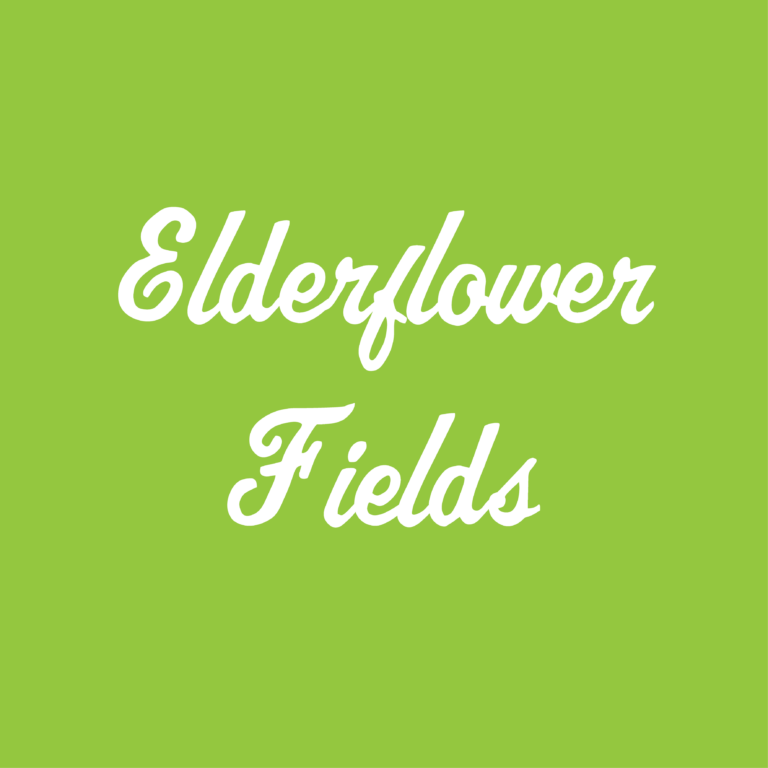 Elderflower Fields